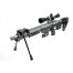 DSR-1